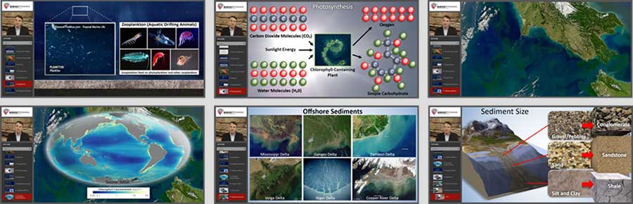 module1 organic source for oil and gas