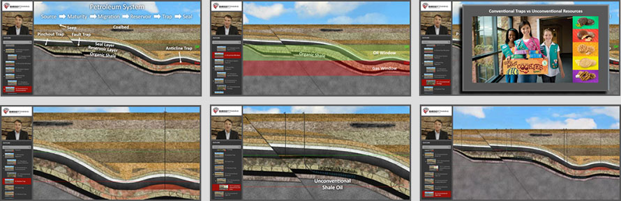 module8 total petroleum system